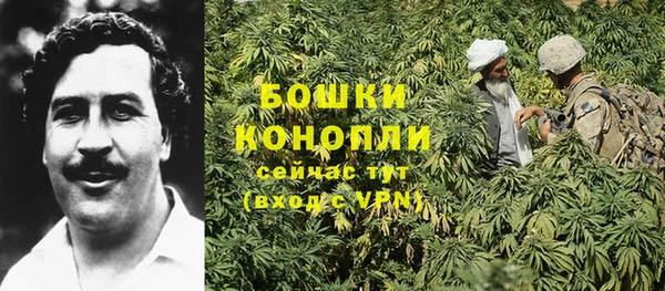 спайс Магас