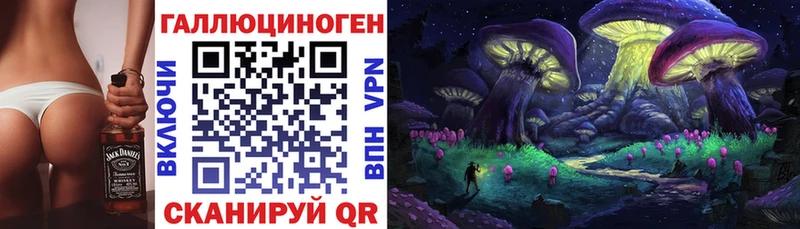 Галлюциногенные грибы Psilocybe  Купить закладки  Байкальск 